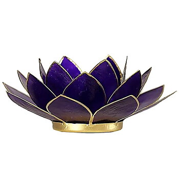 Lotuslyktan i snäckskal - Guldmetal  -Lila - Chakra 7