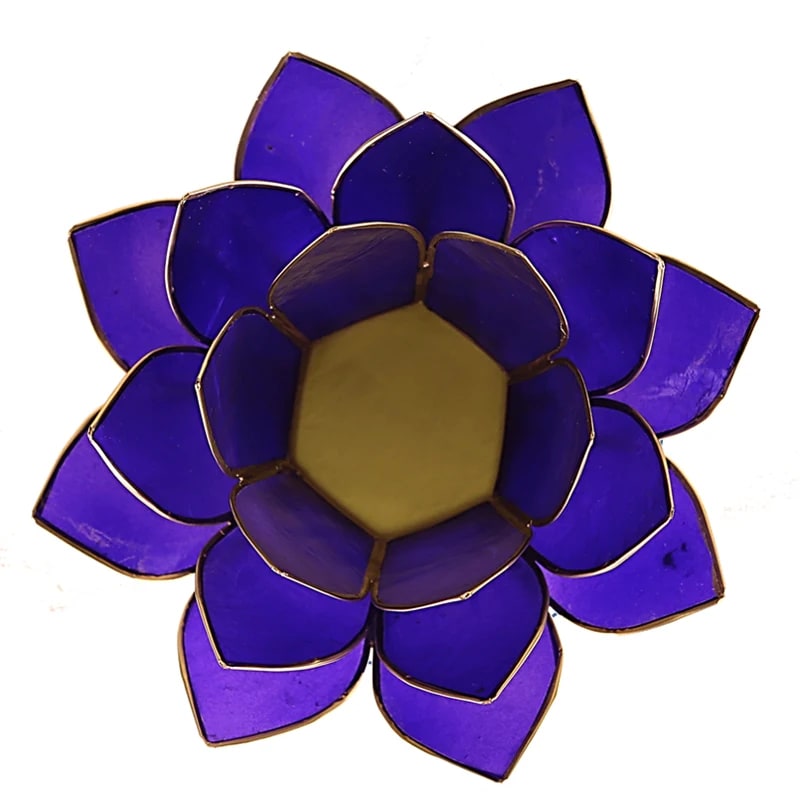 Lotuslyktan i snäckskal - Guldmetall  -Indigo - Chakra 6 - 2