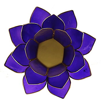 Lotuslyktan i snäckskal - Guldmetall  -Indigo - Chakra 6