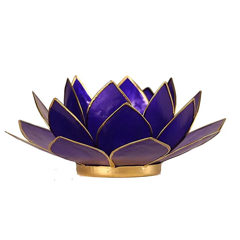 Lotuslyktan i snäckskal - Guldmetall  -Indigo - Chakra 6