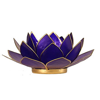 Lotuslyktan i snäckskal - Guldmetall  -Indigo - Chakra 6