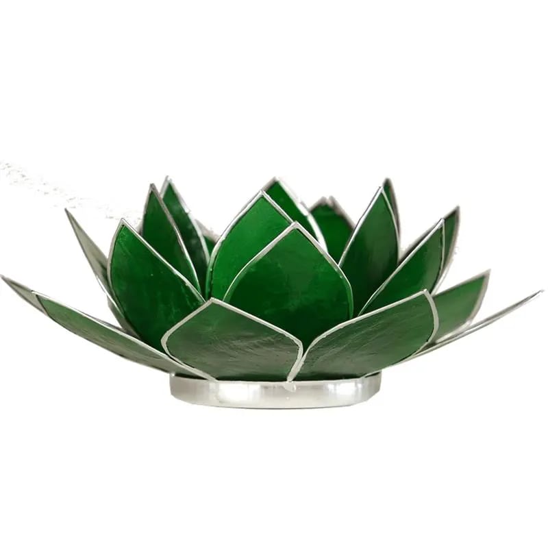 Lotuslyktan i snäckskal - Silvermetall  Grön - Chakra 4