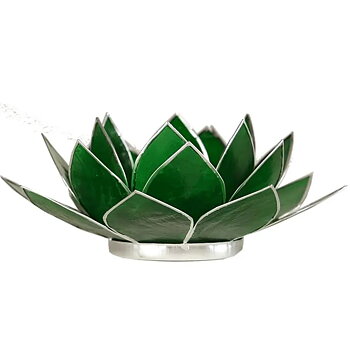Lotuslyktan i snäckskal - Silvermetall  Grön - Chakra 4