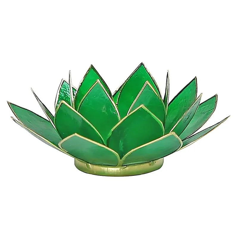 Lotuslyktan i snäckskal - Guldmetall  Grön - Chakra 4
