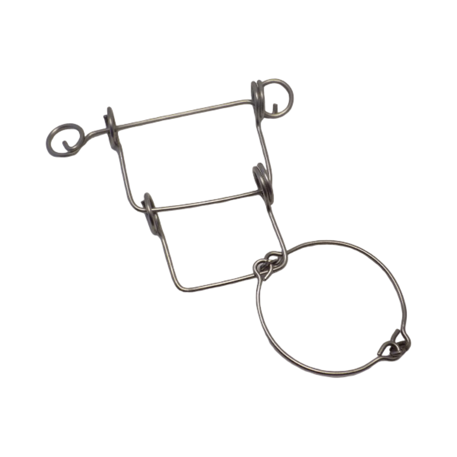 The swing