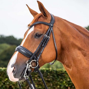 DYON KANDAR BRED NOSGRIMMA