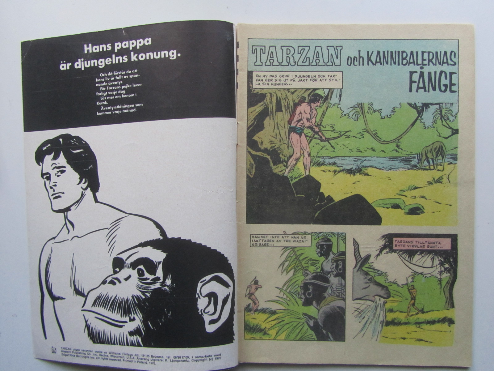 Tarzan 1970 67 Vg - 3