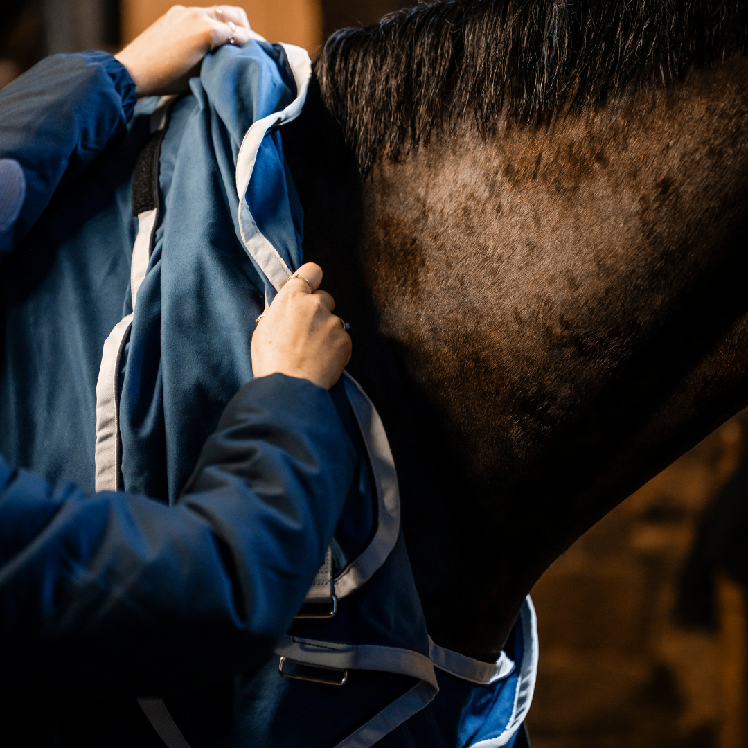 RAMBO DRY RUG SUPREME - 6