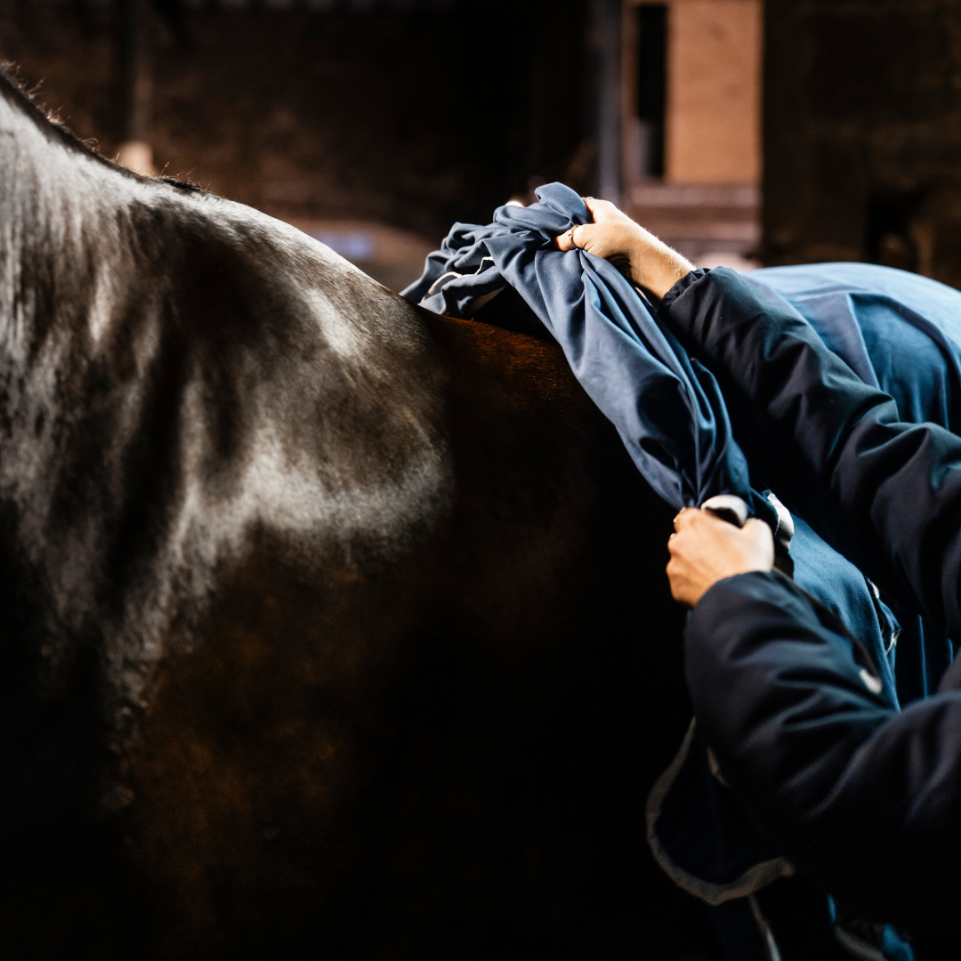 RAMBO DRY RUG SUPREME - 5