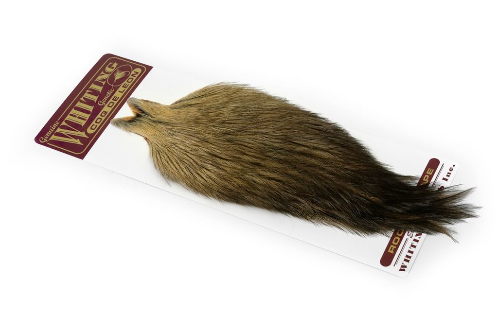Whiting Coq De Leon Cape - 33