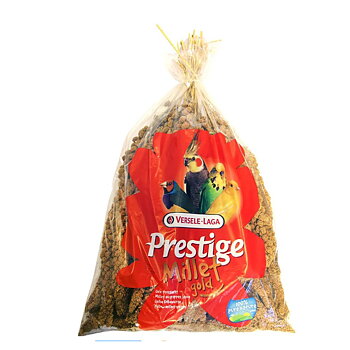 Hirskolvar 