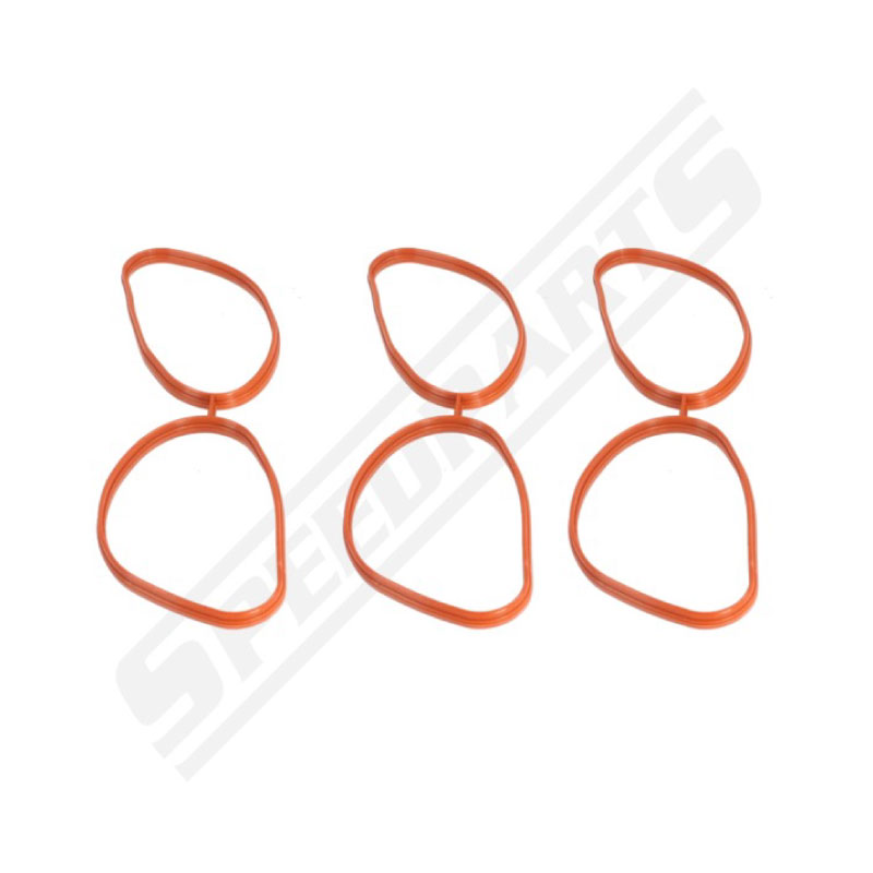 Inlet manifold gaskets B308