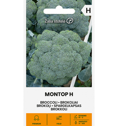 Broccoli Montop H