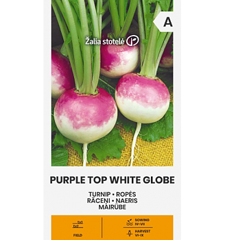 Rova "Purple Top White Globe"