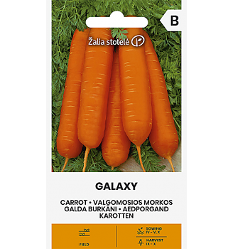 Morot Galaxy