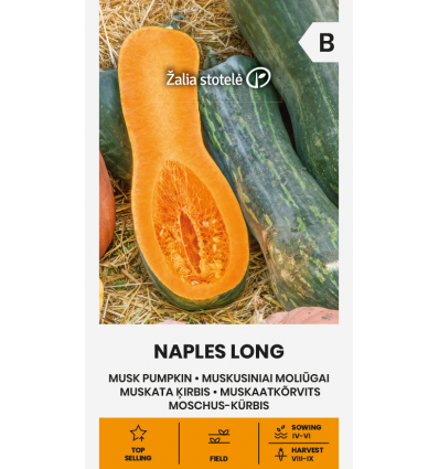 Myskpumpa Naples Long