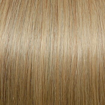 HairBooster #DB3 Golden Blond*