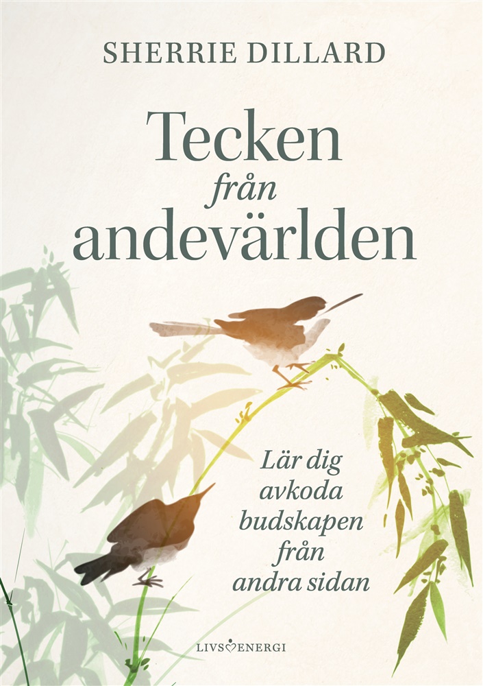 Tecken från andevärlden - lär dig avkoda budskapen från andevärlden, Dillard Sherrie