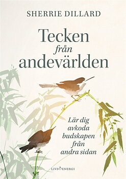 Tecken från andevärlden - lär dig avkoda budskapen från andevärlden, Dillard Sherrie