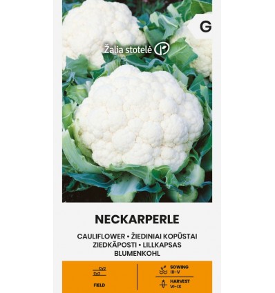 Blomkål "Neckarperle"
