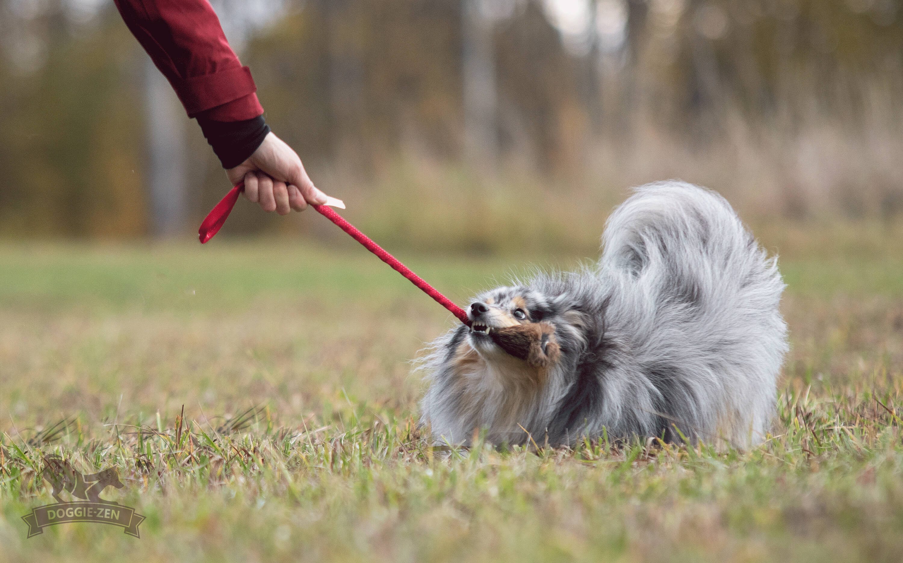 Bungee Rabbit Tug S - 3