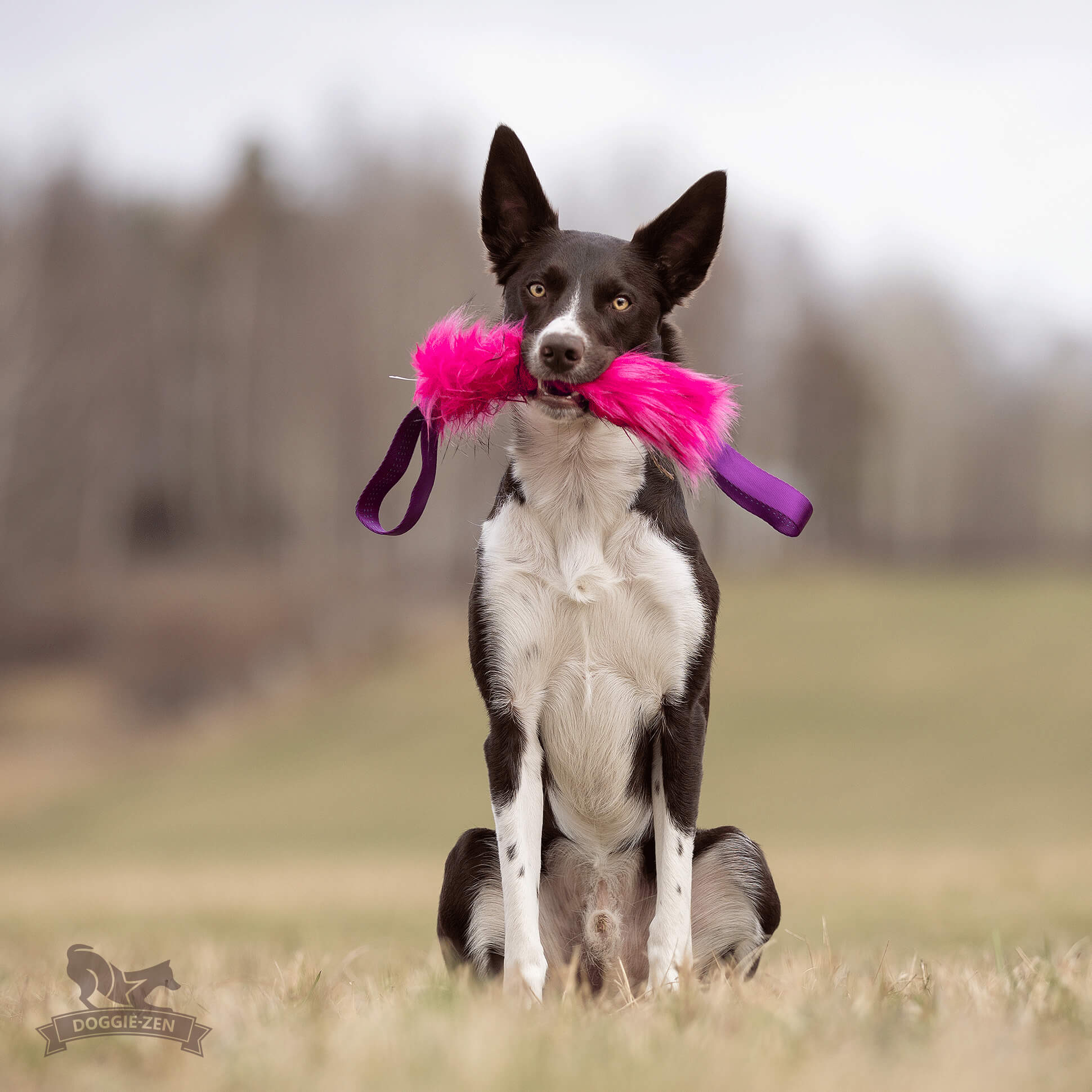 Two-Handled Fake Fur Tug - 10