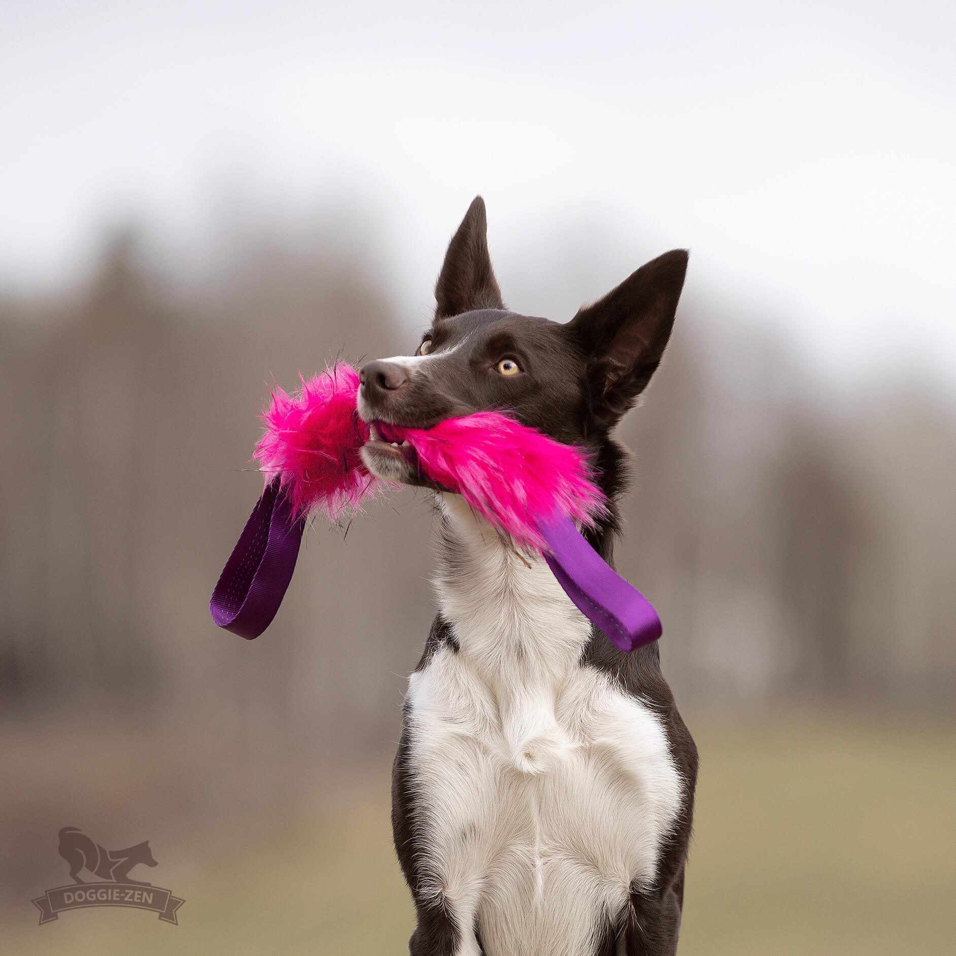 Two-Handled Fake Fur Tug