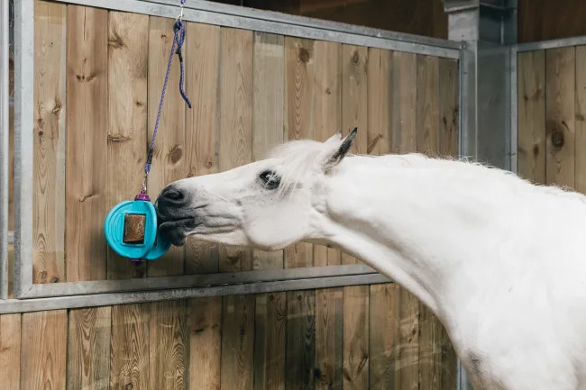 Bizzy Bite leke med tau - 5