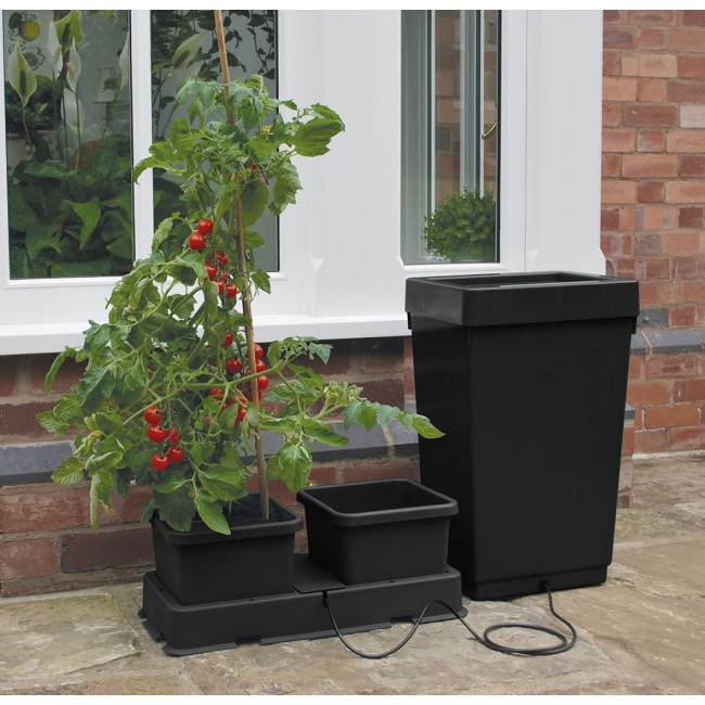 Easy2Grow kit, Svart Ebb och Flod system - 5