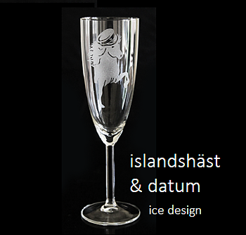 Student champange glas på fot 21 cl med namn och datum islandshäst
