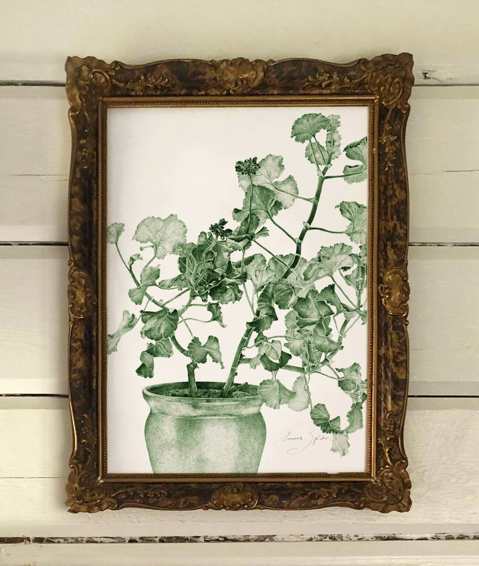 ART PRINT GREEN GERANIUM 30x40