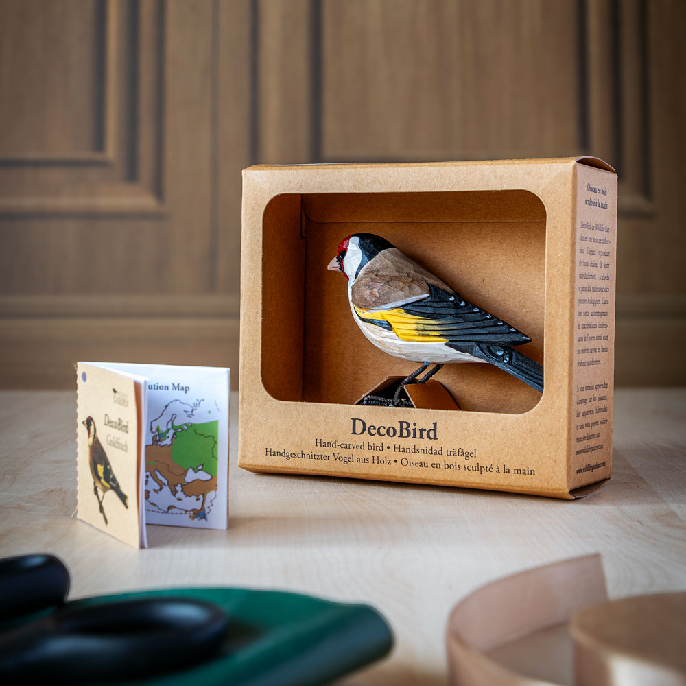 DecoBird Steglits i sin förpackning med öppet fönster, placerad på ett bord med en liten broschyr bredvid.