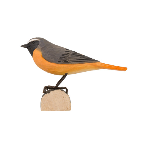 DecoBird Rougequeue à Front Blanc - 3