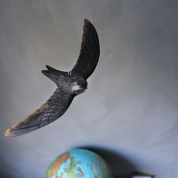 DecoBird Common Swift