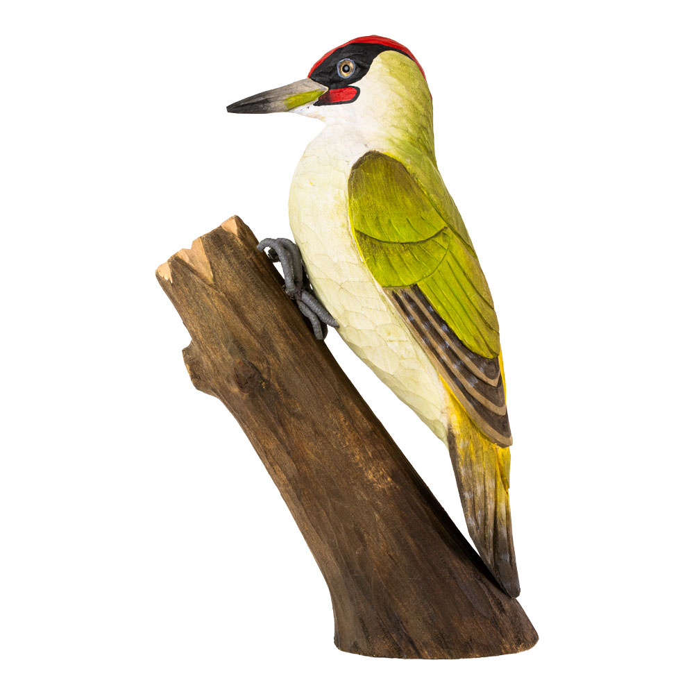 DecoBird Green Woodpecker viewed from the side, perched on a tree trunk against a white background.