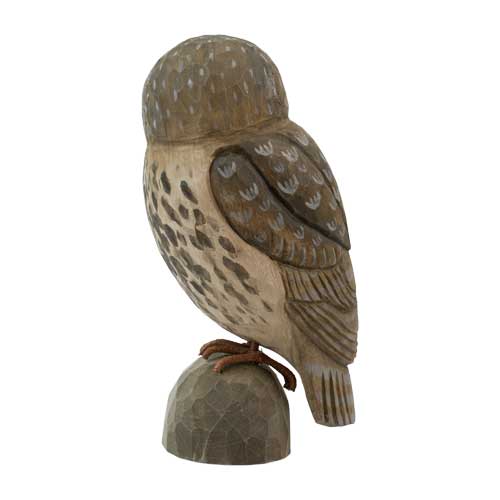 DecoBird Little Owl - 5