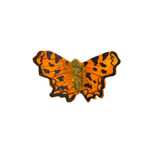 Butterfly Comma - Wildlife Garden Shop