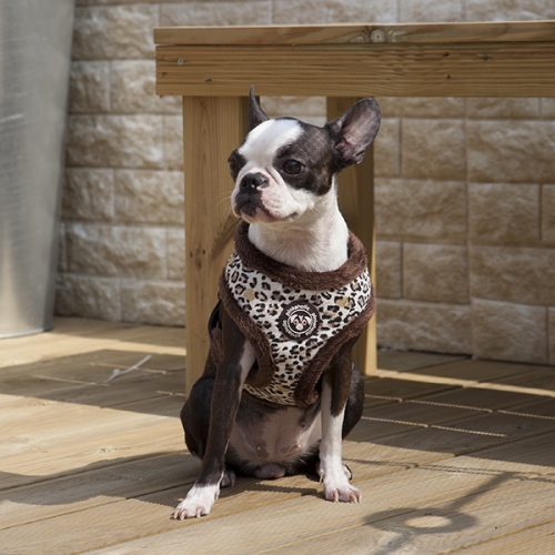 Pinkaholic Leo Pug Sele Brun - 2