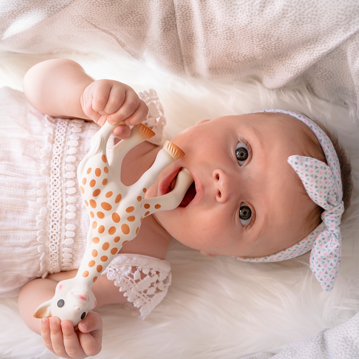 Sophie the giraffe - 3