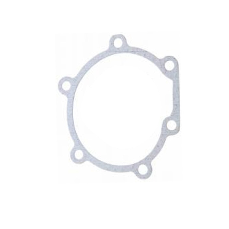 Gasket water pump 9000 90-98