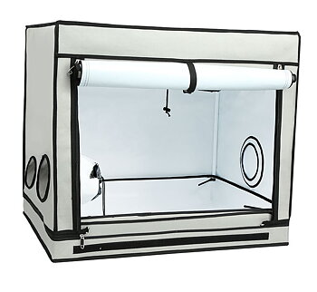 HOMEbox Ambient R80S