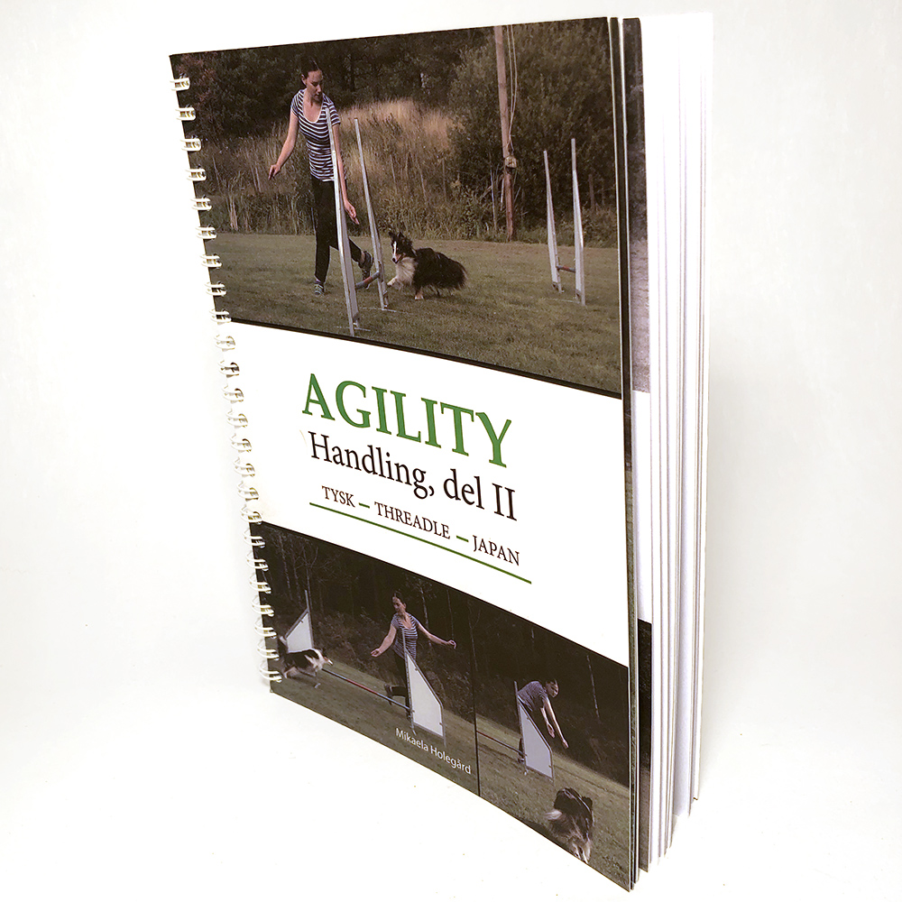 Agility handling part 2
