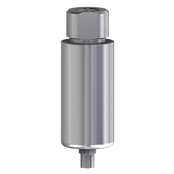 Pre-milled blank RP 10 mm för NobelReplace®