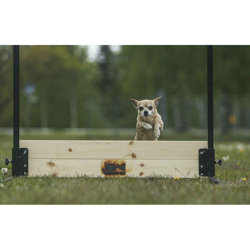 Hinder bruks och lydnad