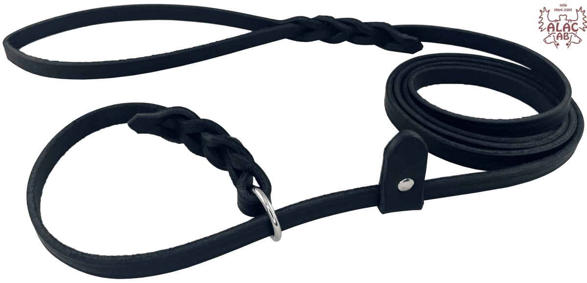 Retrieverkoppel läder - 3