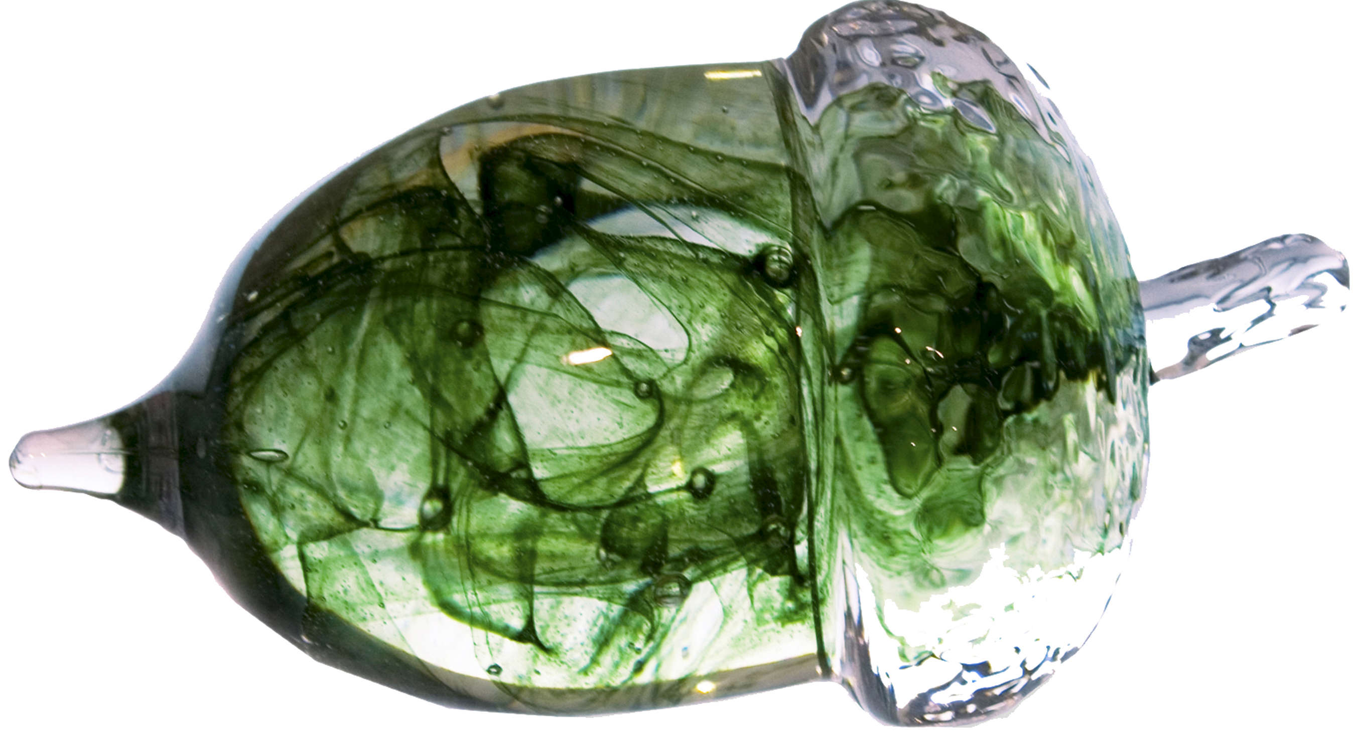 Acorn Medium - 2