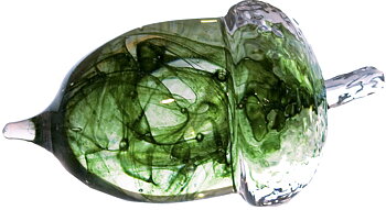 Acorn Medium