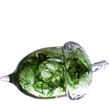 Acorn Medium