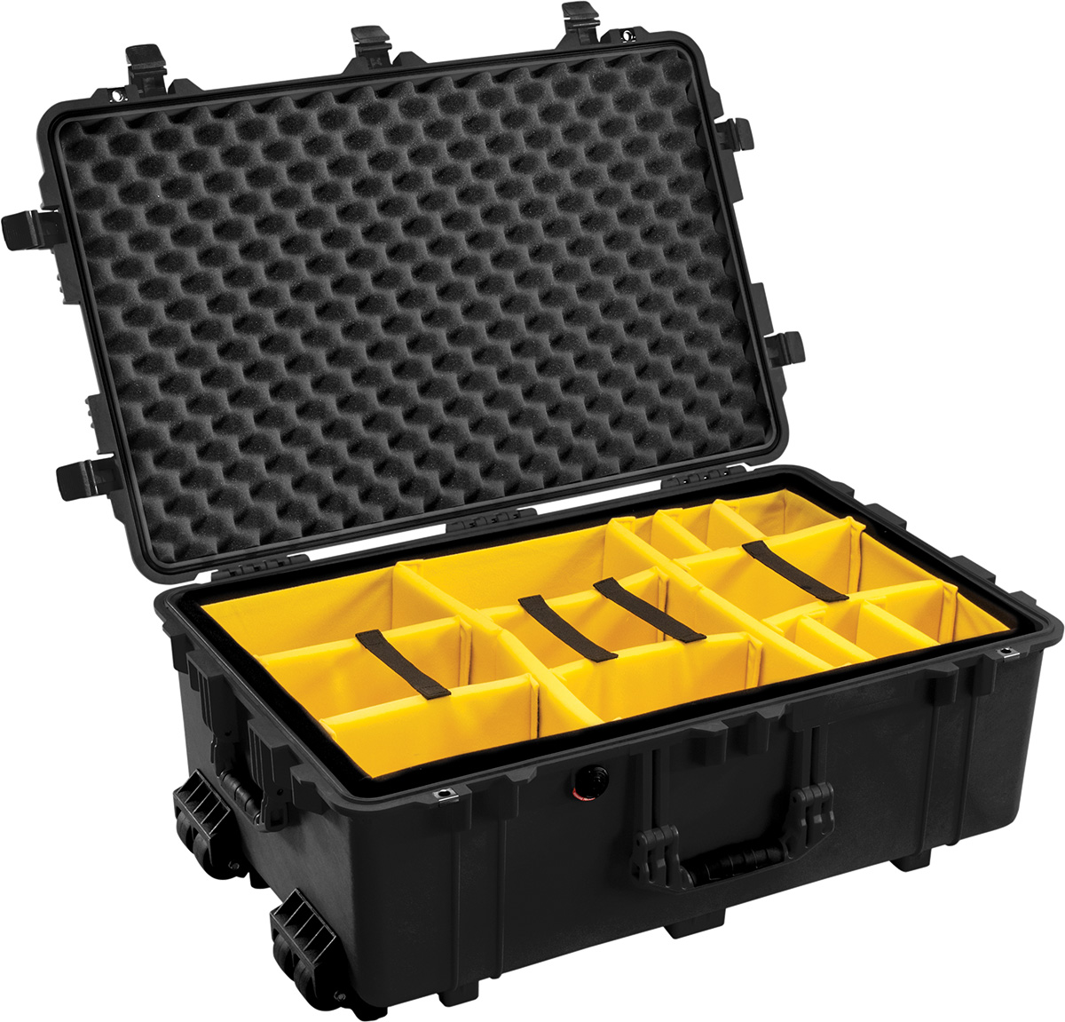 Peli 1650 Case - 3