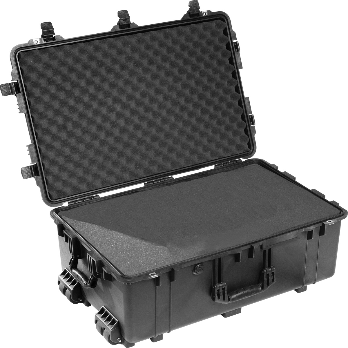 Peli 1650 Case - 2